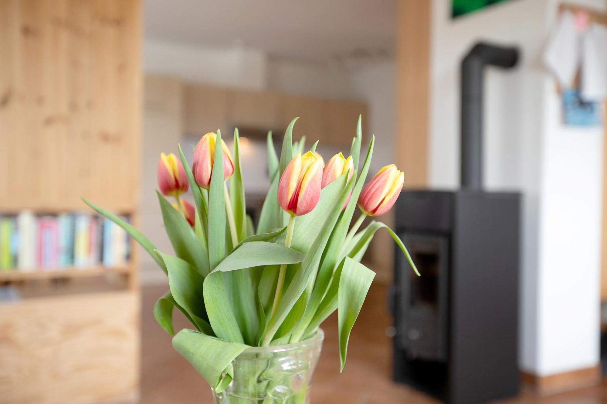 Ferienwohnung Coni Langballig Экстерьер фото