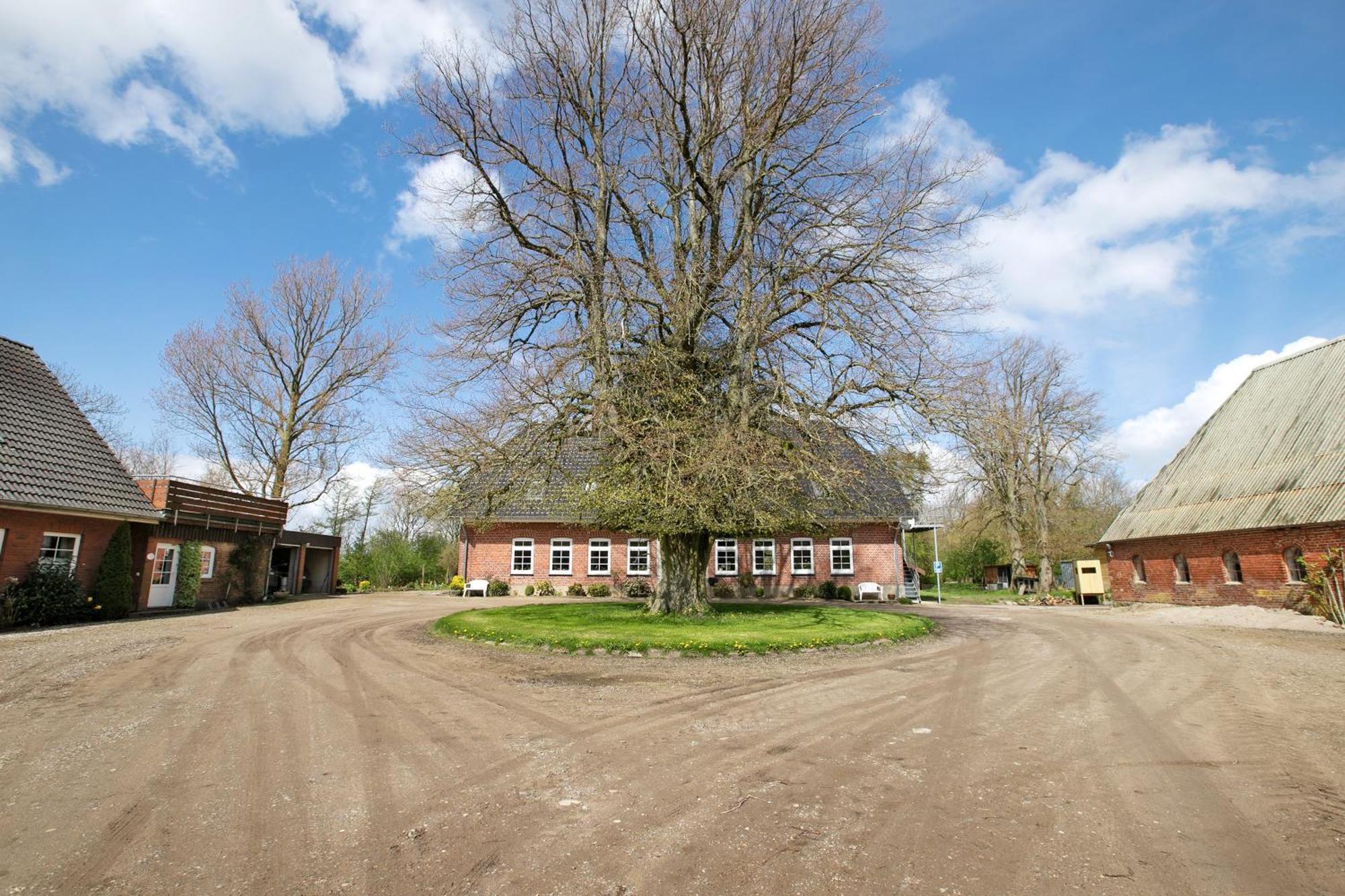 Ferienwohnung Coni Langballig Экстерьер фото